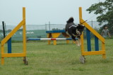 img0007.jpg