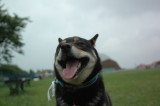img0010.jpg