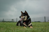 img0014.jpg