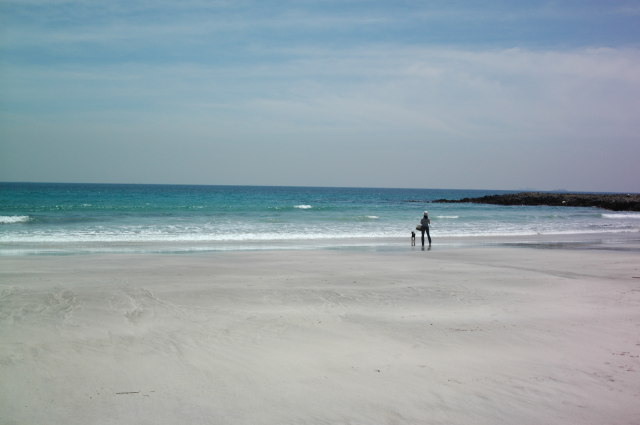 img0000.jpg