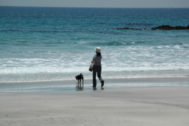 img0001.jpg