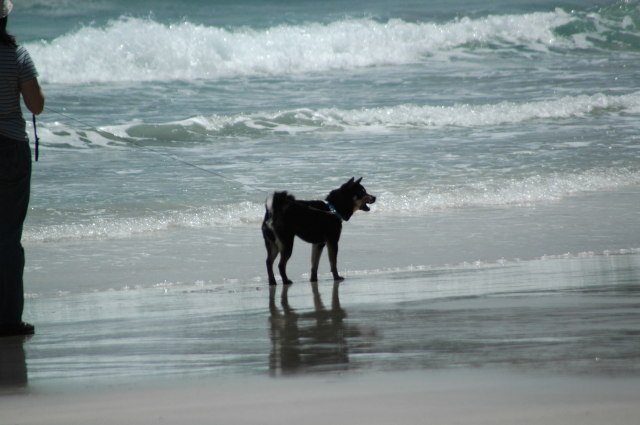 img0002.jpg