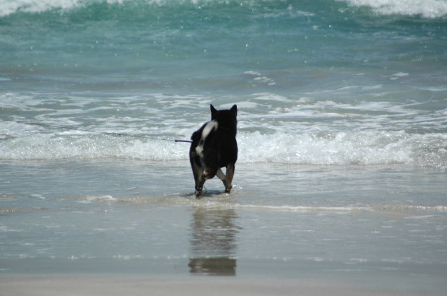 img0004.jpg