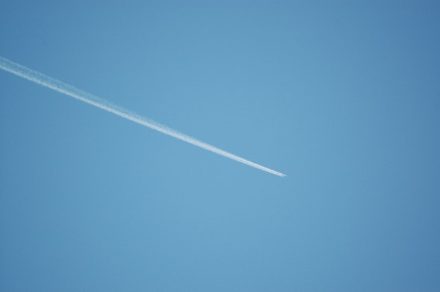 img0005.jpg