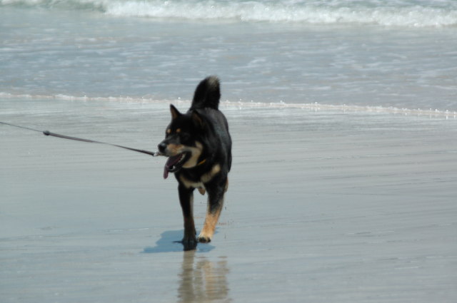 img0007.jpg