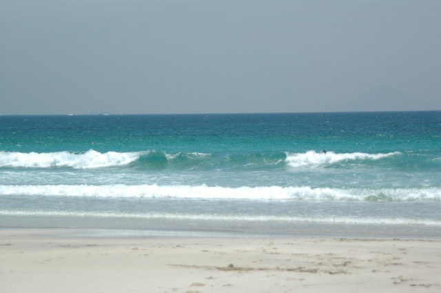 img0010.jpg