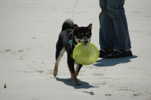 img0011.jpg