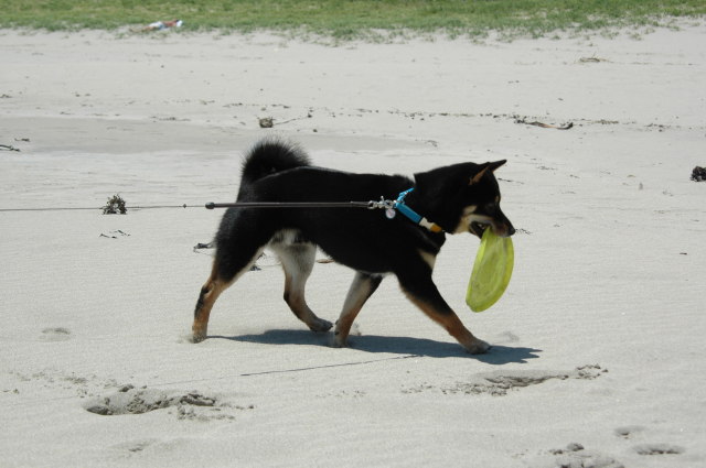 img0015.jpg