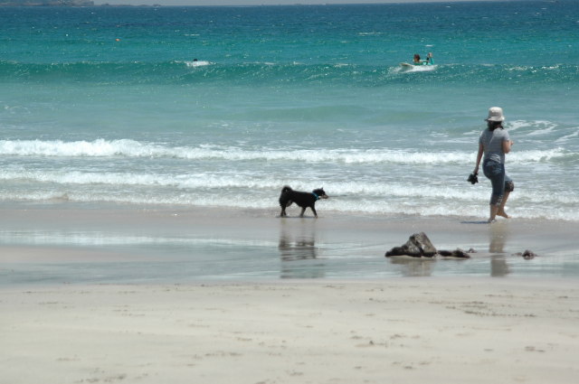 img0016.jpg