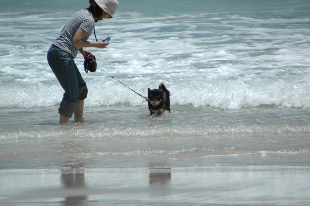img0017.jpg