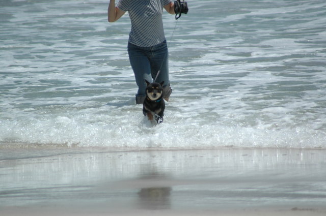 img0018.jpg
