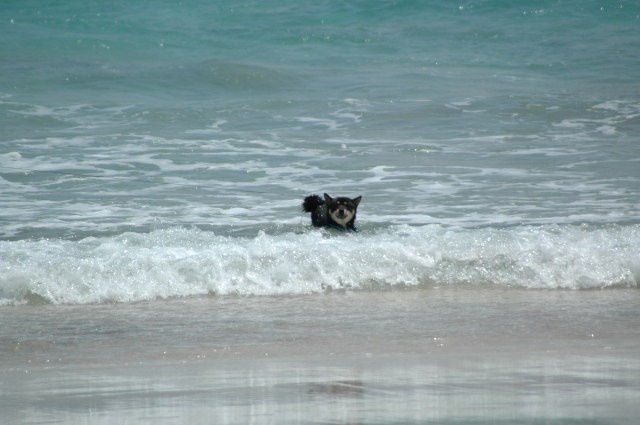 img0022.jpg