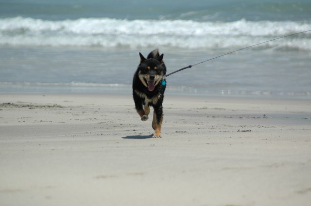 img0025.jpg