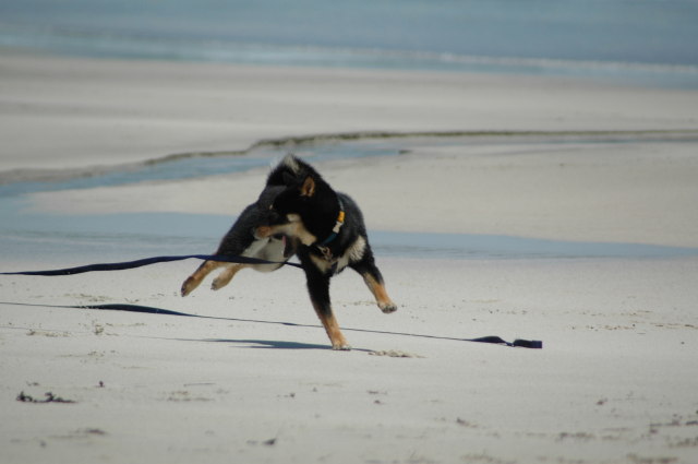 img0028.jpg