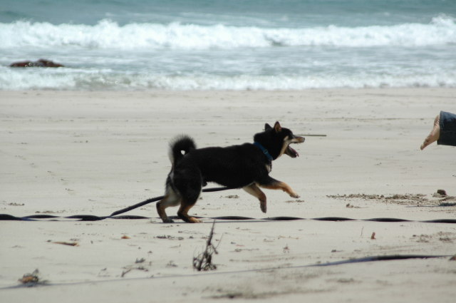 img0030.jpg