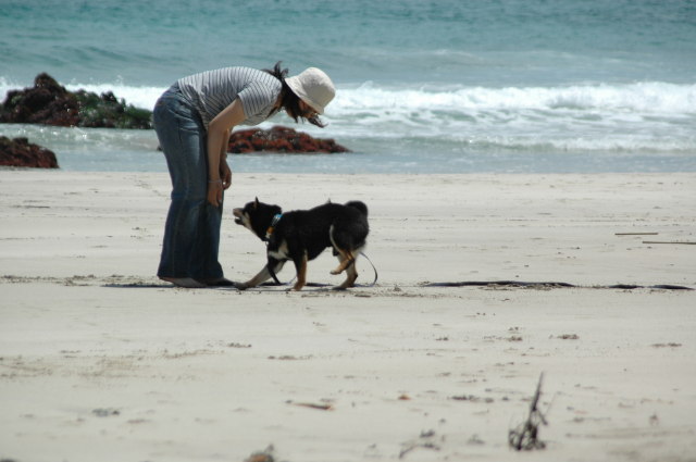 img0035.jpg
