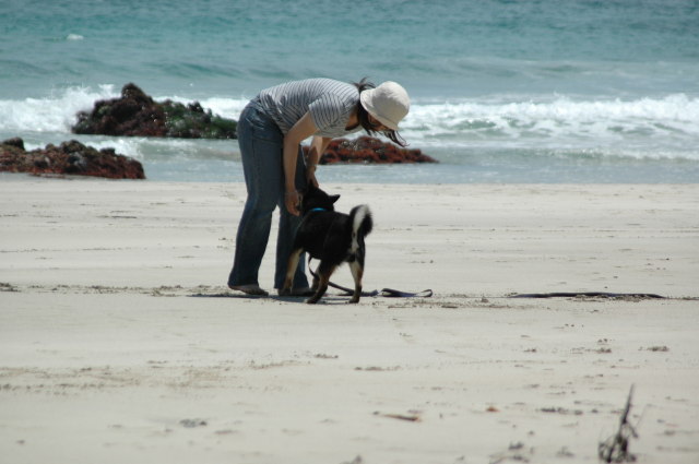 img0036.jpg