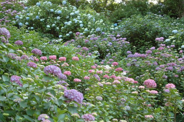 img0037.jpg