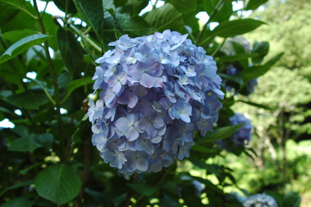 img0038.jpg