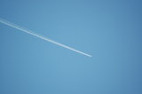 img0005.jpg