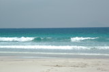 img0010.jpg
