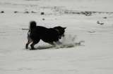 img0014.jpg