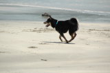 img0024.jpg