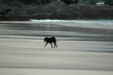 img0026.jpg