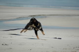 img0028.jpg