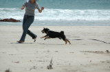 img0033.jpg