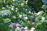 img0039.jpg