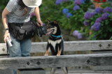 img0042.jpg
