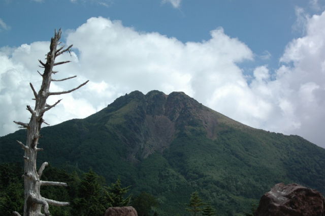 img0015.jpg