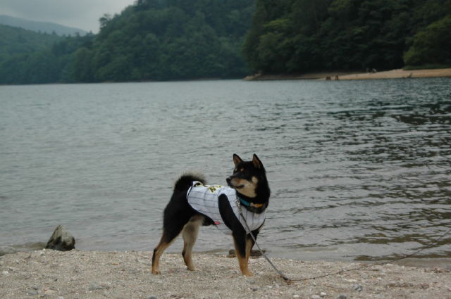 img0016.jpg